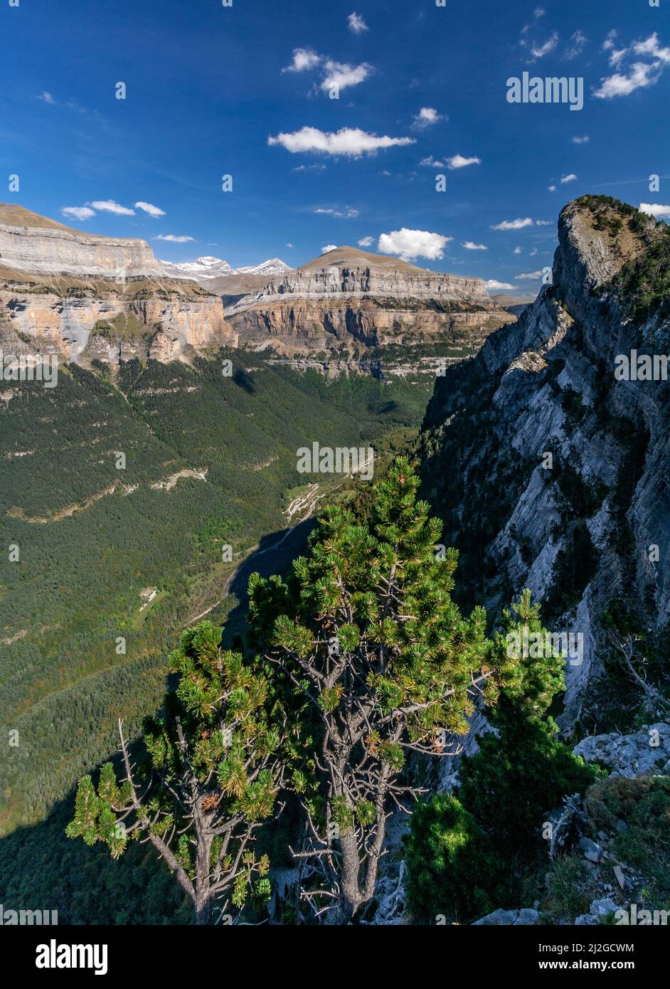 Ordesa valley , Huesca province , Aragon , spanish pyrenees Stock Photo