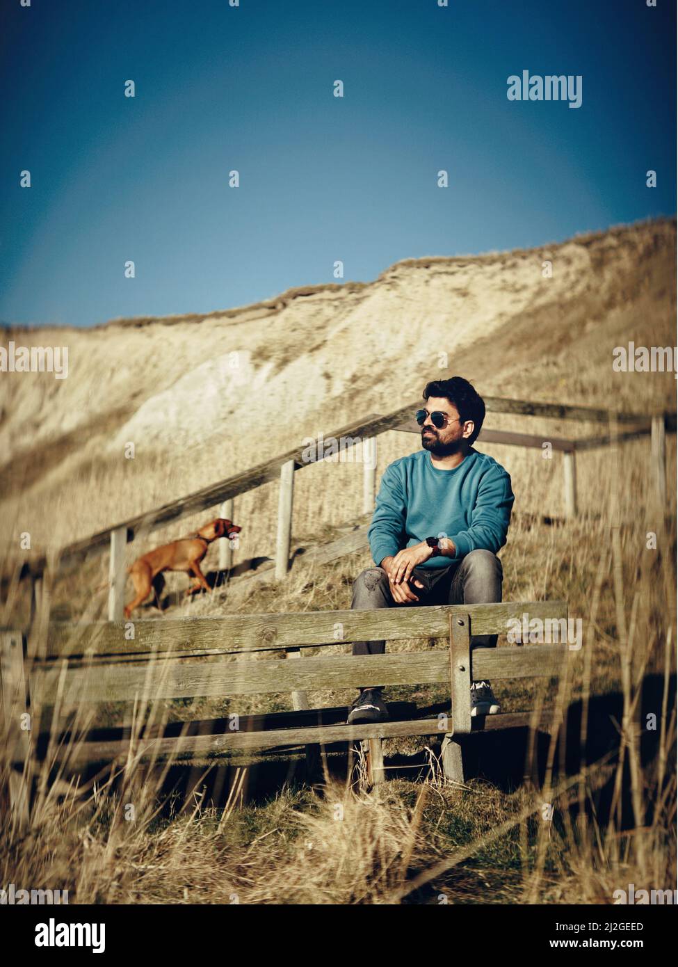 A vertical shot of an Indian man with his puppy sitting on an outdoor stairs behind a wooden bench Stock Photo