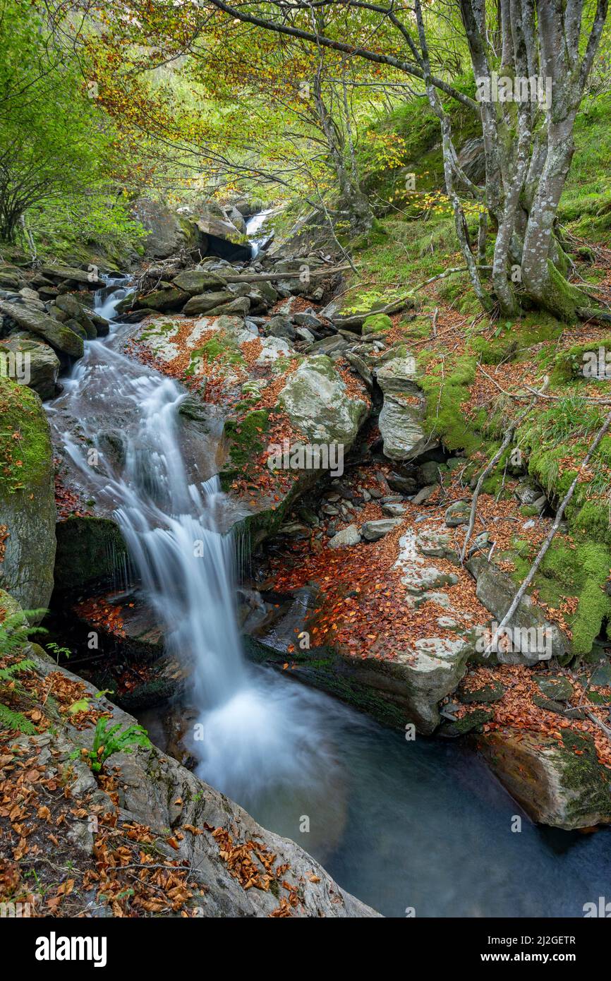 Stream at autumn, Parc naturel régional des Pyrénées Ariégeoises, France Stock Photo