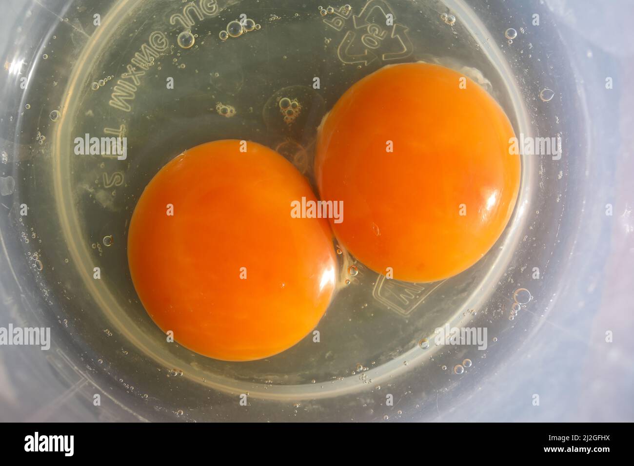 Double yolk in a chicken's egg Stock Photo Alamy