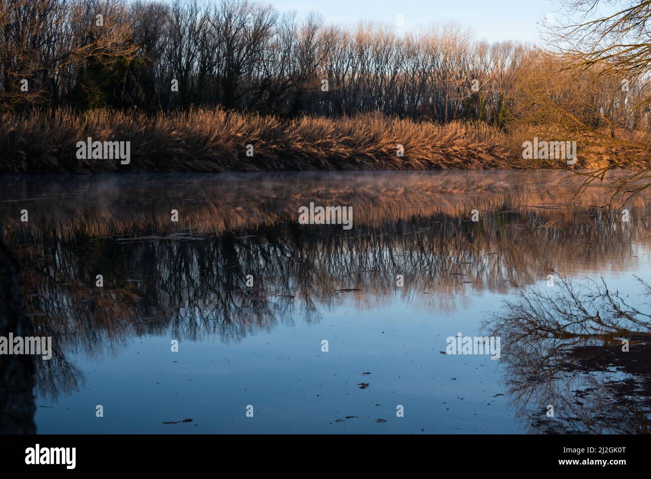 Flowing creek quite waters with leafless trees reflected ona cold winter landscape Stock Photo