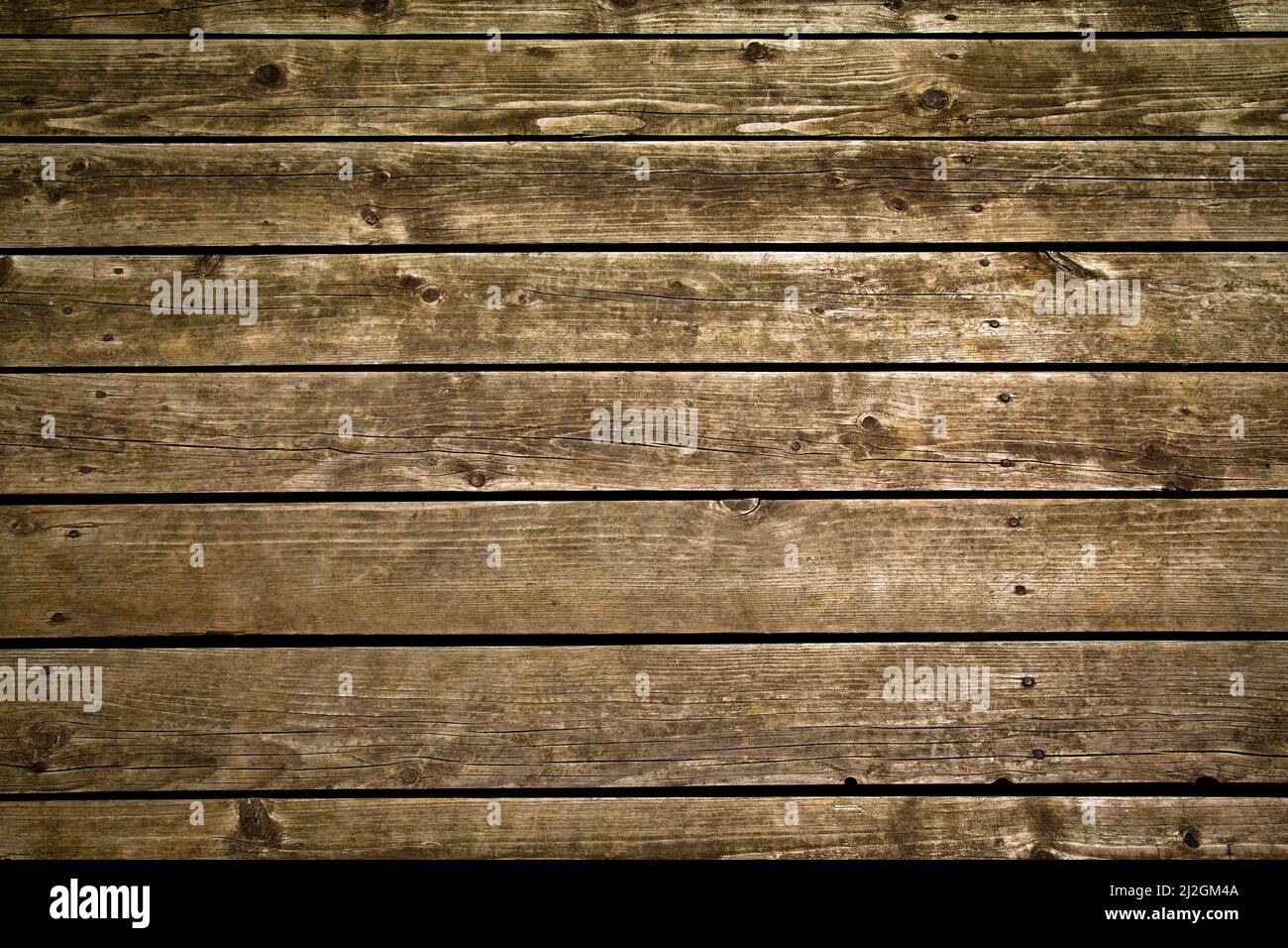 Old wood grain texture. Pine wood old, can be used as background