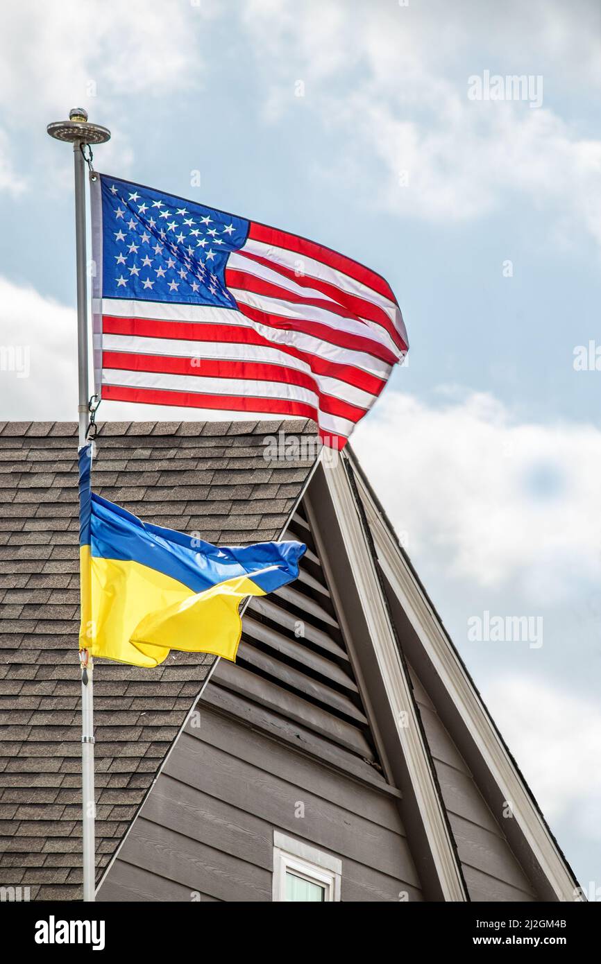 Ukrainian flag flying beneath American flag on windy day at residential home - Close-up Stock Photo