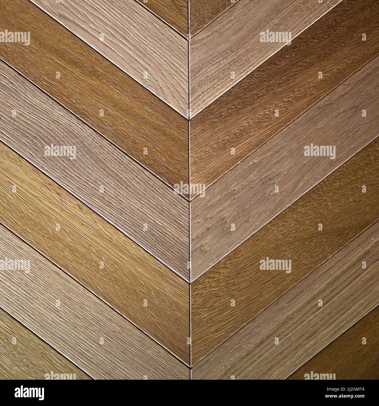 Wood oak parquet texture. Oak wood, can be used as background, pattern