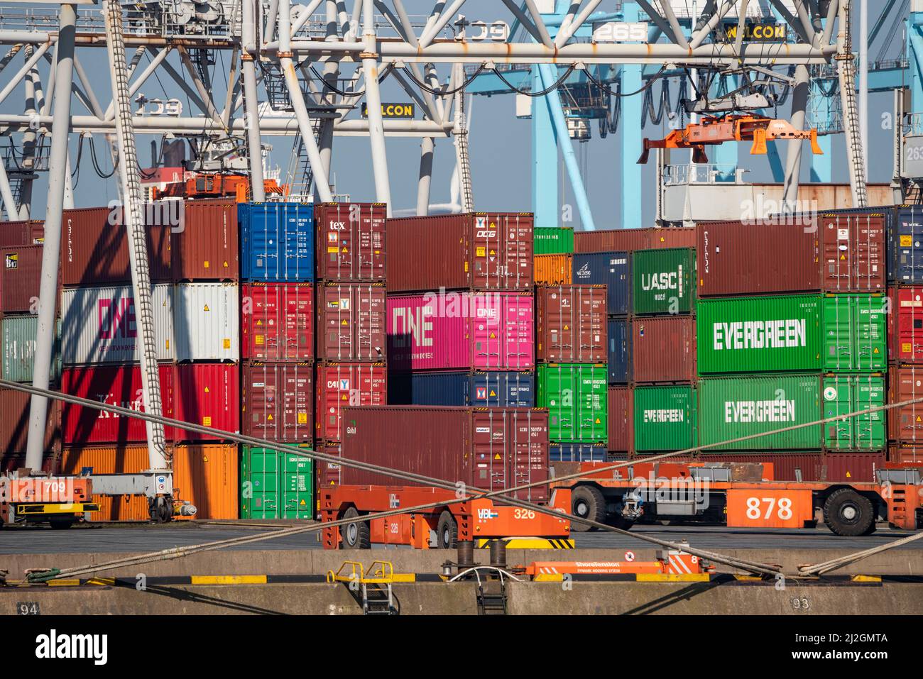 Selfdriving, automated container transporters, bring the containers to