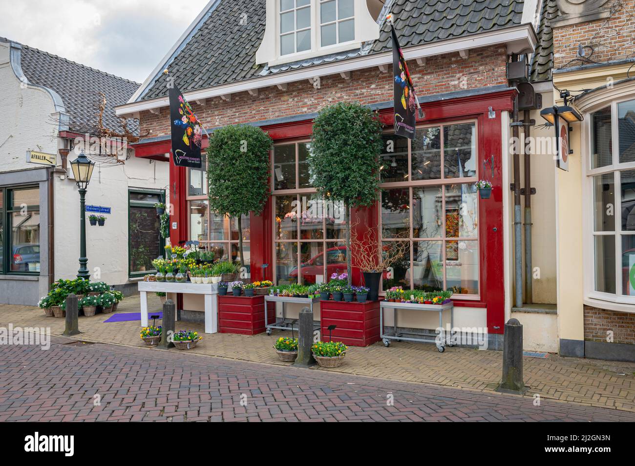 Flower speciality shop in Dutch style in a small town close to Gouda