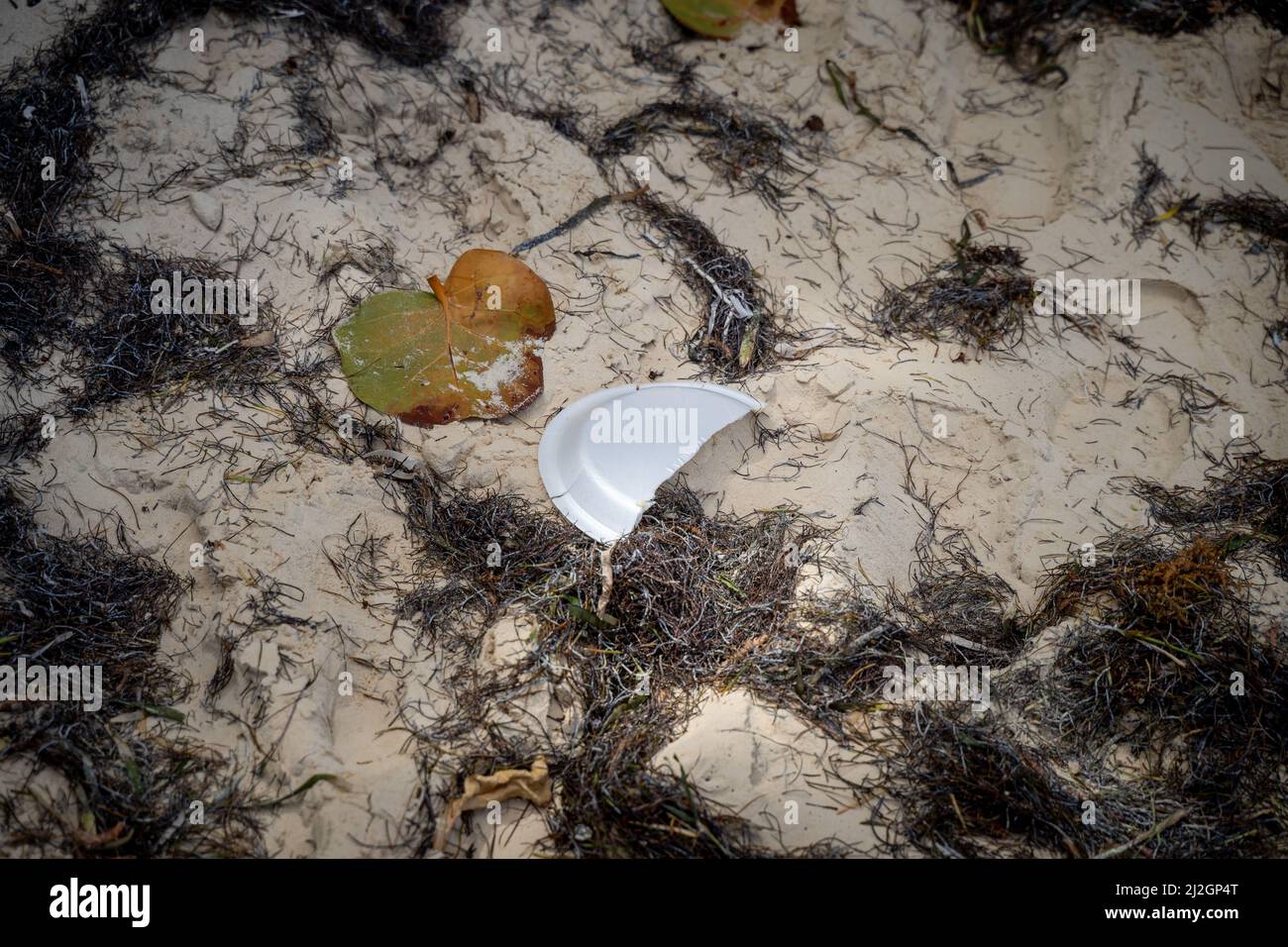 A shot of plastic waste on the beach in the Dominican Republic Stock Photo Alamy