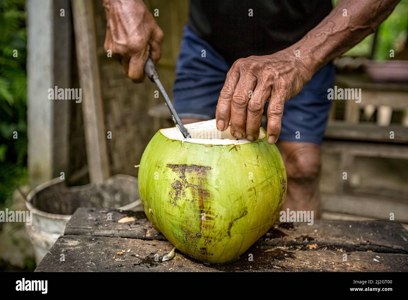 coconut is cut and peel with a knife to drink a coconut nectar Stock