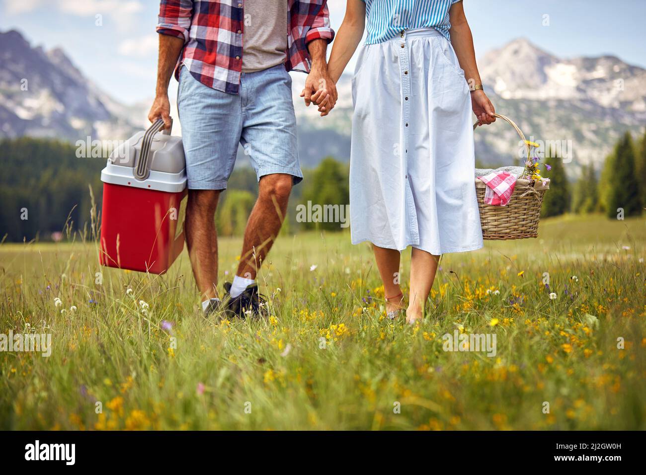 Young couple with picnic baskets holding hands and walking on green meadow. Fun, togetherness, lifestyle, nature concept. Stock Photo
