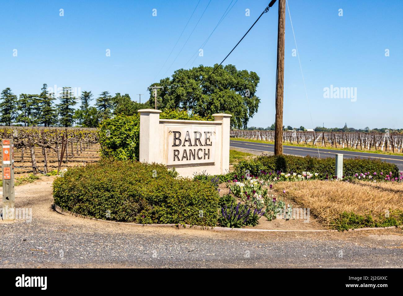 Bare Ranch Winery in Lodi California Stock Photo