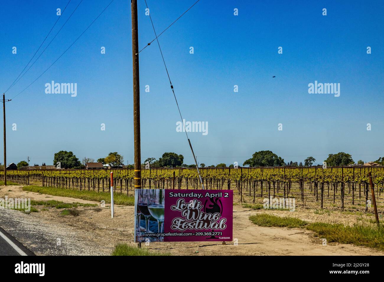 A Lodi Grape Festival sign in Lodi California USA Stock Photo