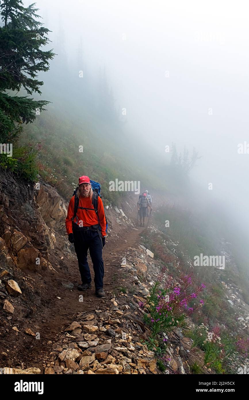 WA21302-00...WASHINGTON - Hikers walking across a foggy hillside  on the Pacific Crest Trail near Red Pass in the Glacier Peak Wilderness area. Stock Photo