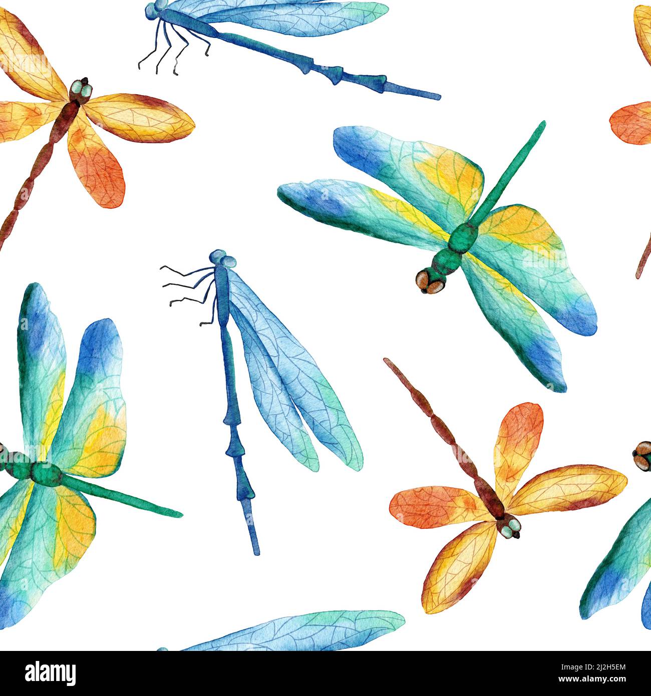 Watercolor hand drawn seamless pattern with butterfly dragonfly moth  insects. Bright colorful blue green orange butterflies wild wildlife nature  background design for textile wallpaper Stock Photo - Alamy