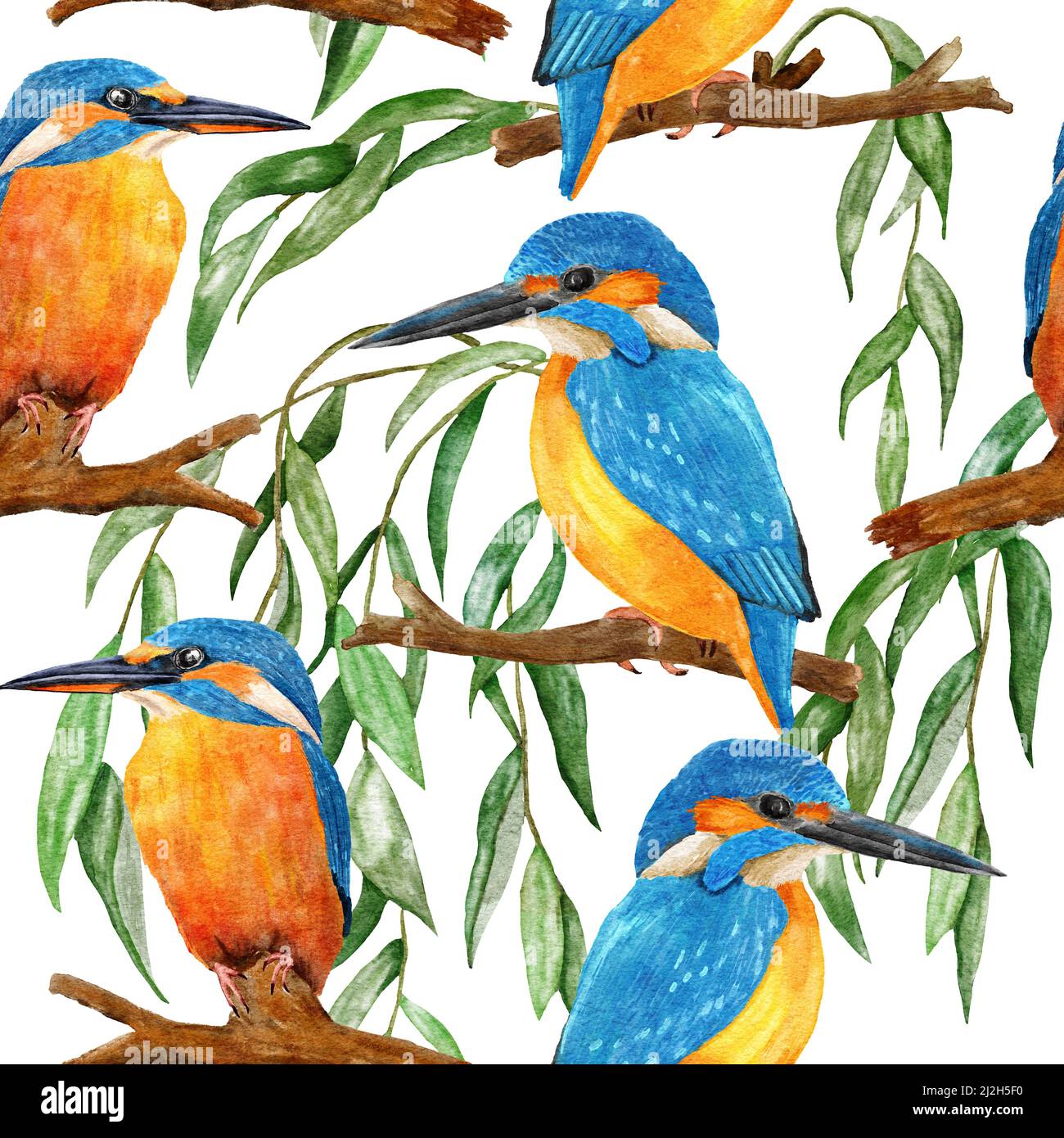 Watercolor seamless hand drawn pattern with wild kingfisher bee-eater birds in forest woodland. Wildlife natural vintage background with floral leaves greenery branches, nature bird flying design Stock Photo
