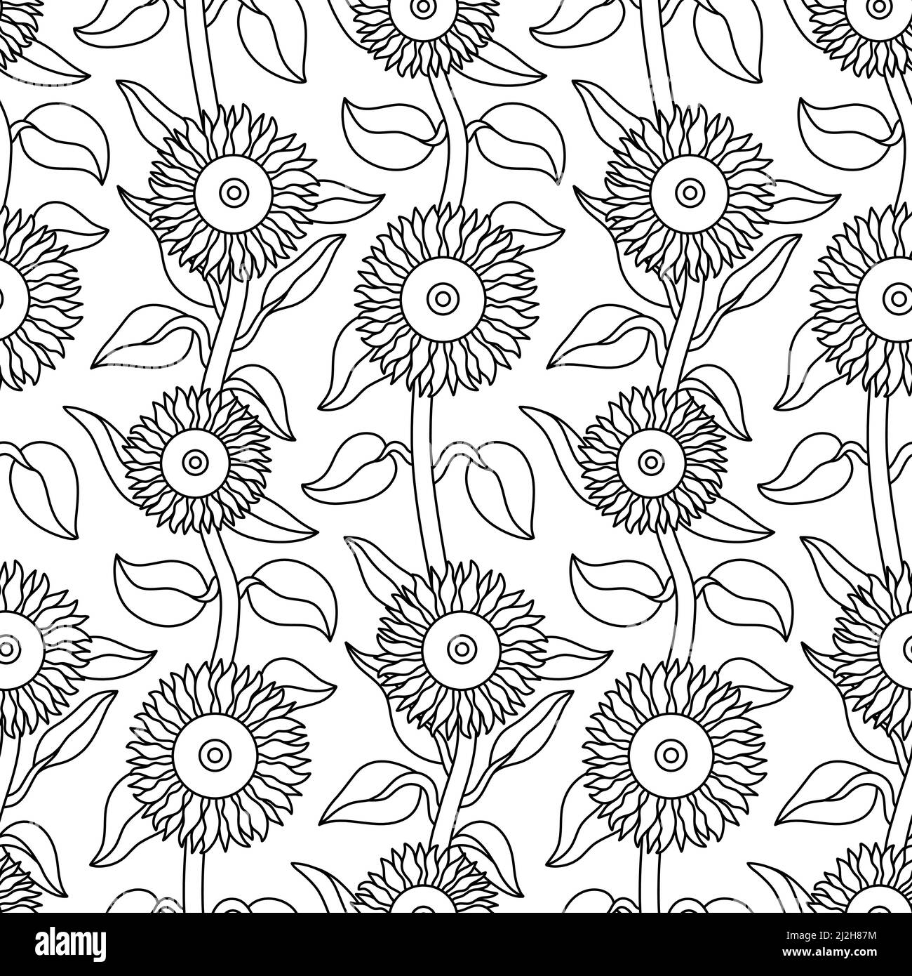 Sunflower botanical illustration Black and White Stock Photos & Images ...