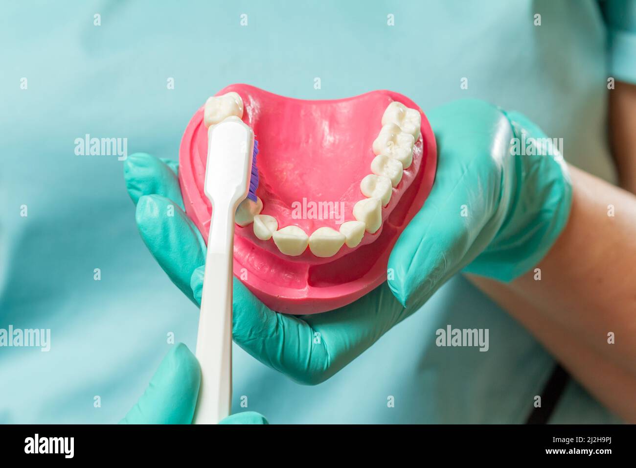 Close-up view of a dentist's hand with a human jaw layout and a ...