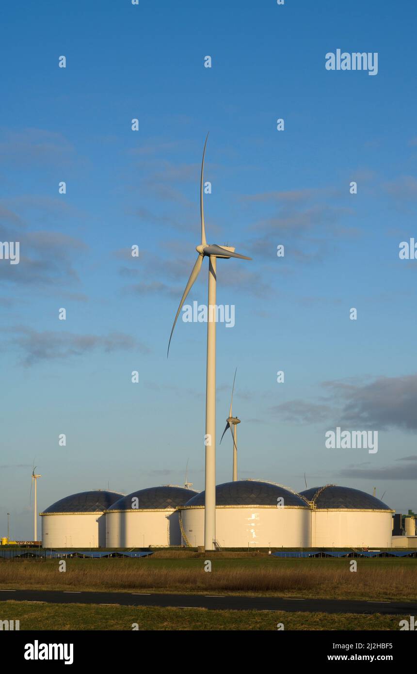 Netherlands, Eemshaven, Wind turbines and storage tanks in field Stock Photo