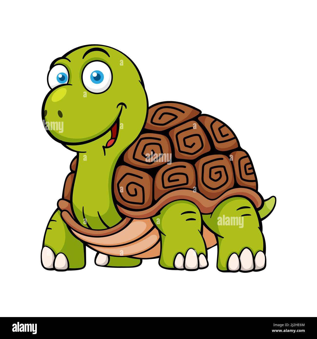 Tortoise Cartoon
