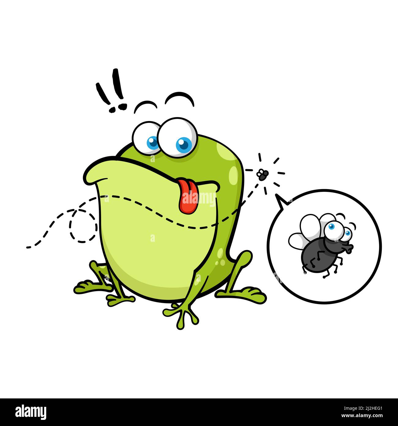Funny Frog Looking At Fly Stock Vector Image & Art Alamy