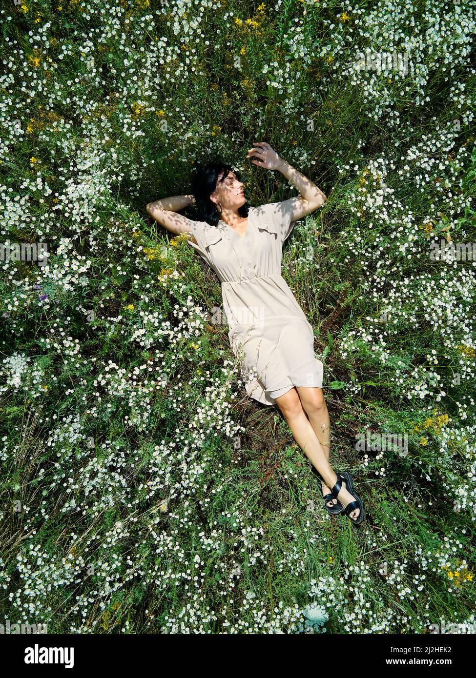 Drone aerial view of relax woman in dress lying on flower blooming meadow,  in countryside, in the field on summer day, feel the nature, alone travel  Stock Photo - Alamy