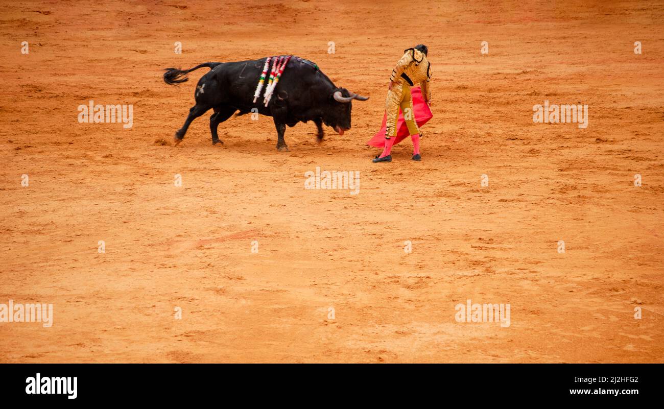 la Real Maestranza, Plaza De Toros, of Seville, Andalusia, spain, , Bullfighting with bulls and bullfighters, during the Feria De Abril in Sevilla Stock Photo
