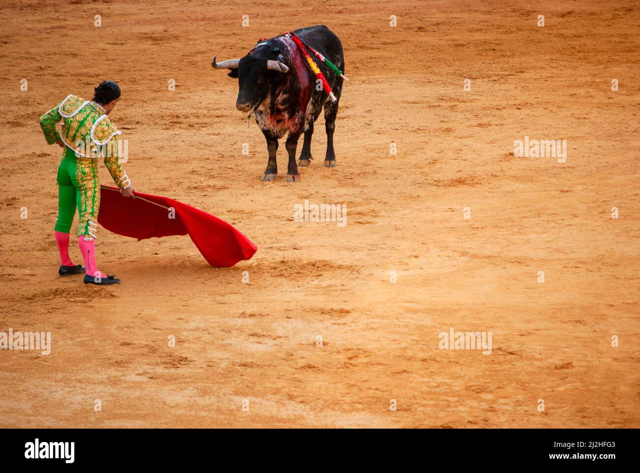 la-real-maestranza-plaza-de-toros-of-seville-andalusia-spain
