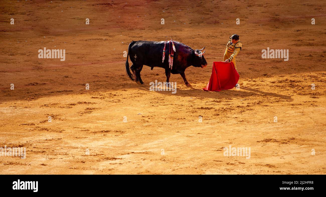 la Real Maestranza, Plaza De Toros, of Seville, Andalusia, spain, , Bullfighting with bulls and bullfighters, during the Feria De Abril in Sevilla Stock Photo