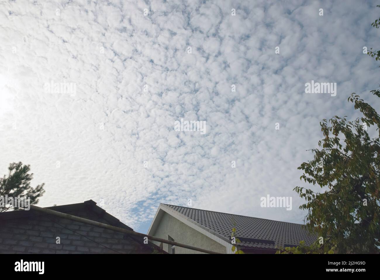 Blue sky with many altocumulus floccus translucidus small clouds. Stock Photo