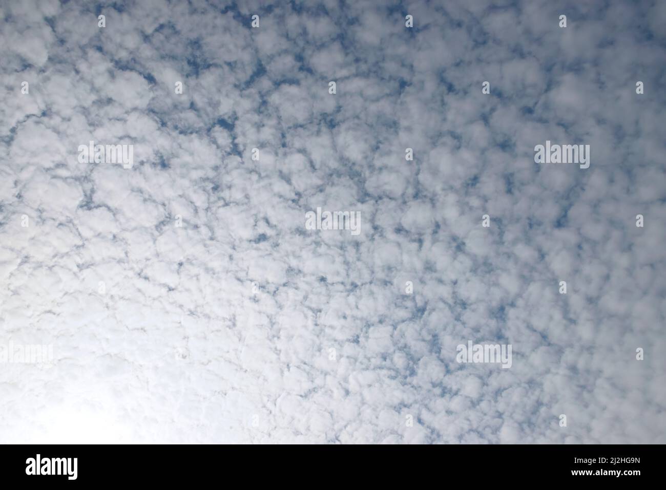 Blue sky with many altocumulus floccus translucidus small clouds. Stock Photo