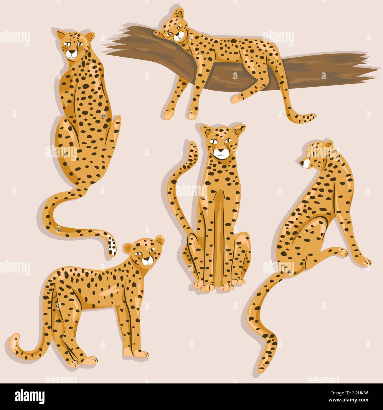Cheetah illustration set. Cute animals Stock Vector Image & Art - Alamy