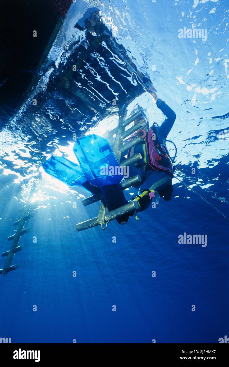 Scuba diver at the boat ledder of a dive boat, Hurghada, Egypt, Red Sea Stock Photo