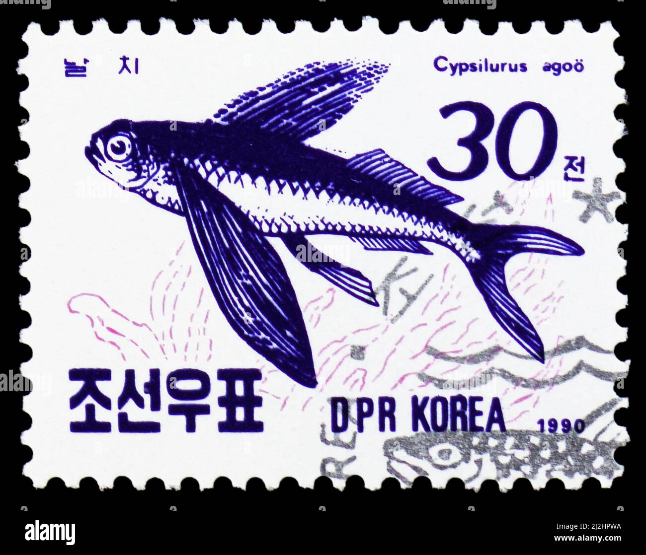 MOSCOW, RUSSIA - MARCH 13, 2022: Postage stamp printed in Korea shows Japanese Flying Fish (Cypsilurus agoo), Fishes of the Eastern Sea serie, circa 1 Stock Photo