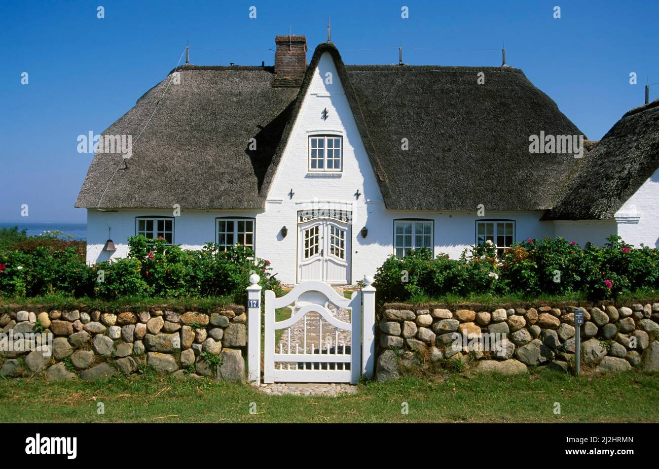 House in Morsum,  Sylt island, Schleswig-Holstein, Germany, Europe Stock Photo