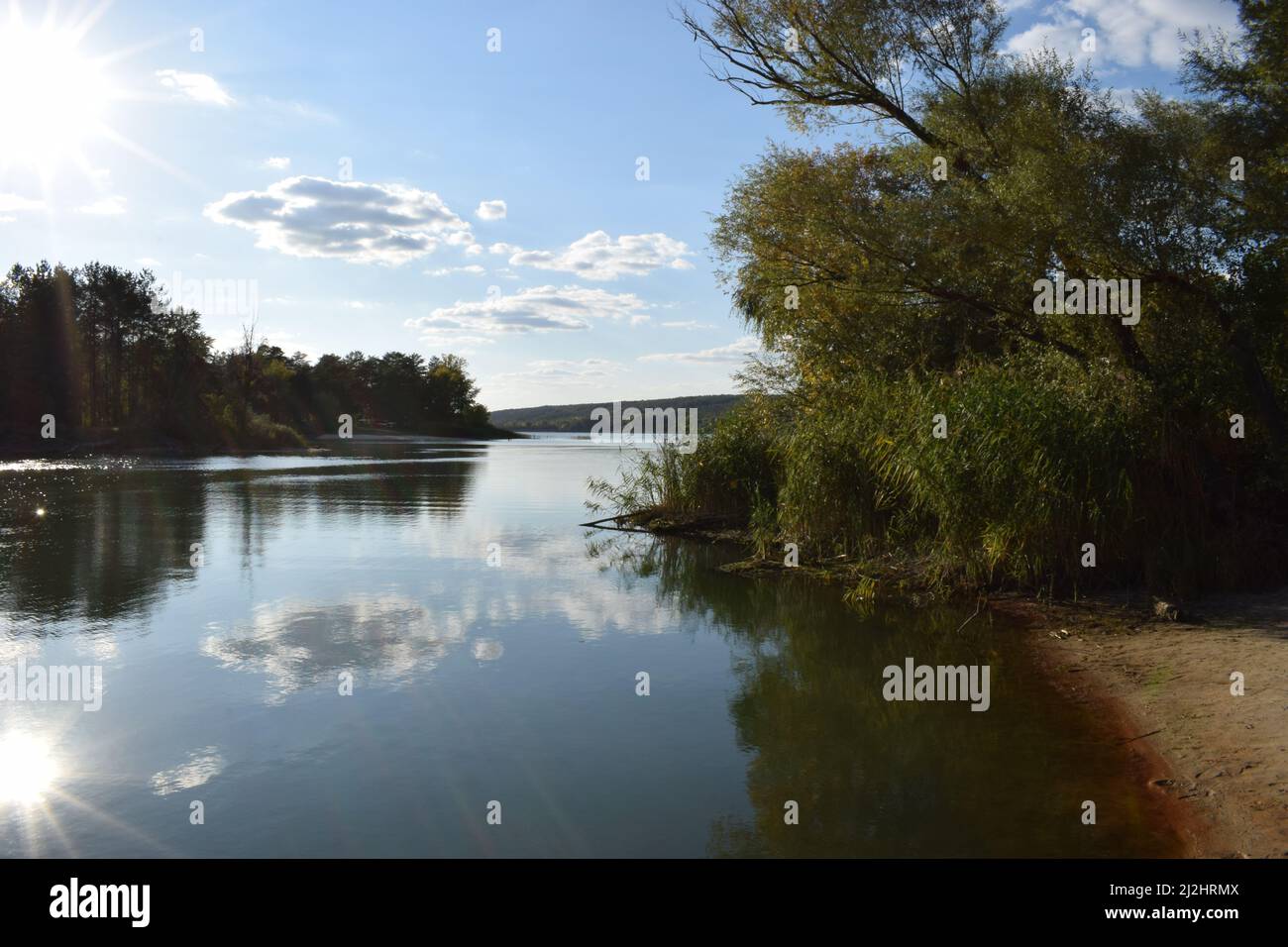 View of a beautiful forest lake designed for fishing, in the midst of lush greenery, in the territory of a natural national park. Coniferous and decid Stock Photo