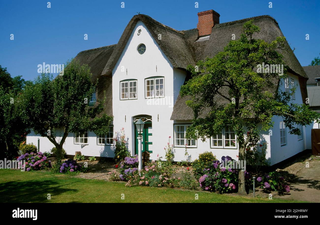 Friesenhaus in Keitum,  Sylt island, Schleswig-Holstein, Germany, Europe Stock Photo