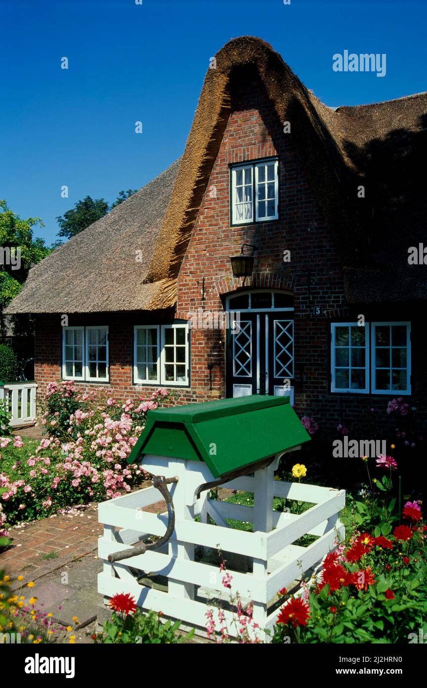 Traditional Friesenhaus in Keitum,  Sylt island, Schleswig-Holstein, Germany, Europe Stock Photo