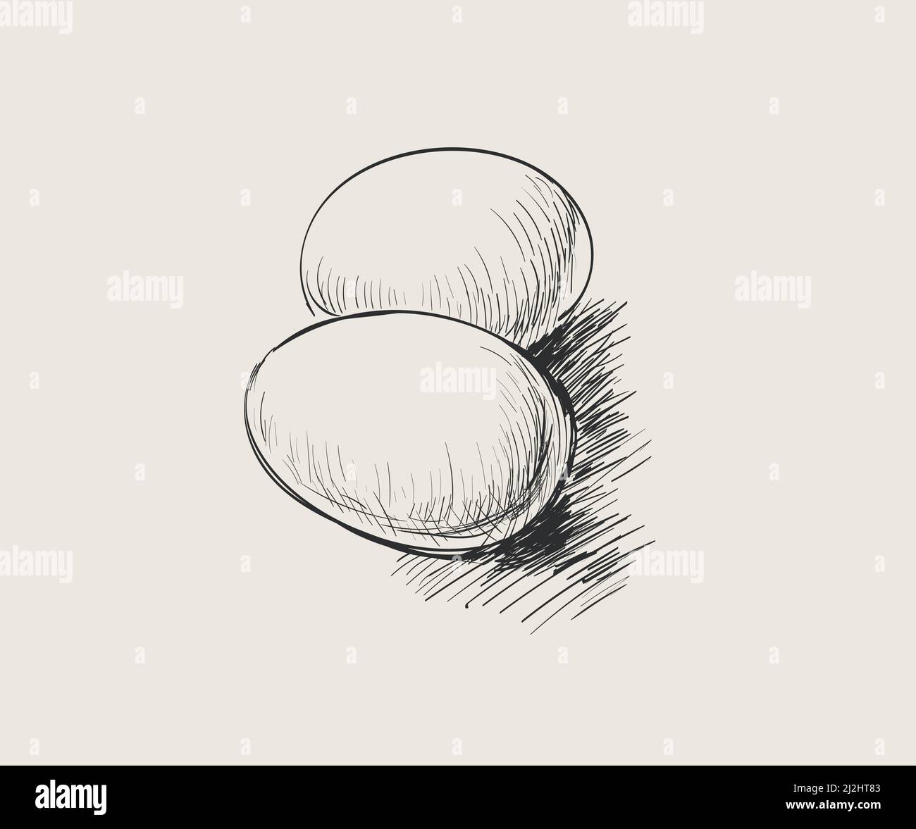 Eggs. Chicken Egg. Sketch Vector Hand drawn Illustration Stock Vector Image & Art Alamy