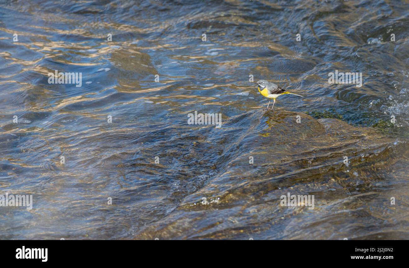 Fast flowing water scotland hi-res stock photography and images - Alamy
