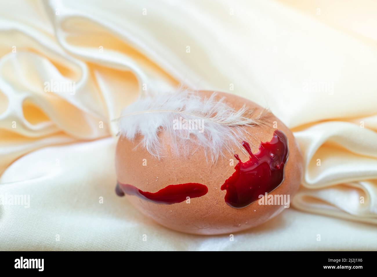 one chicken egg wit a feather and blood like paint, on beige satin folds Stock Photo