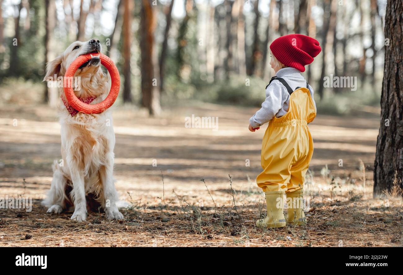 Little girl with golden retriever dog in the forest Stock Photo - Alamy