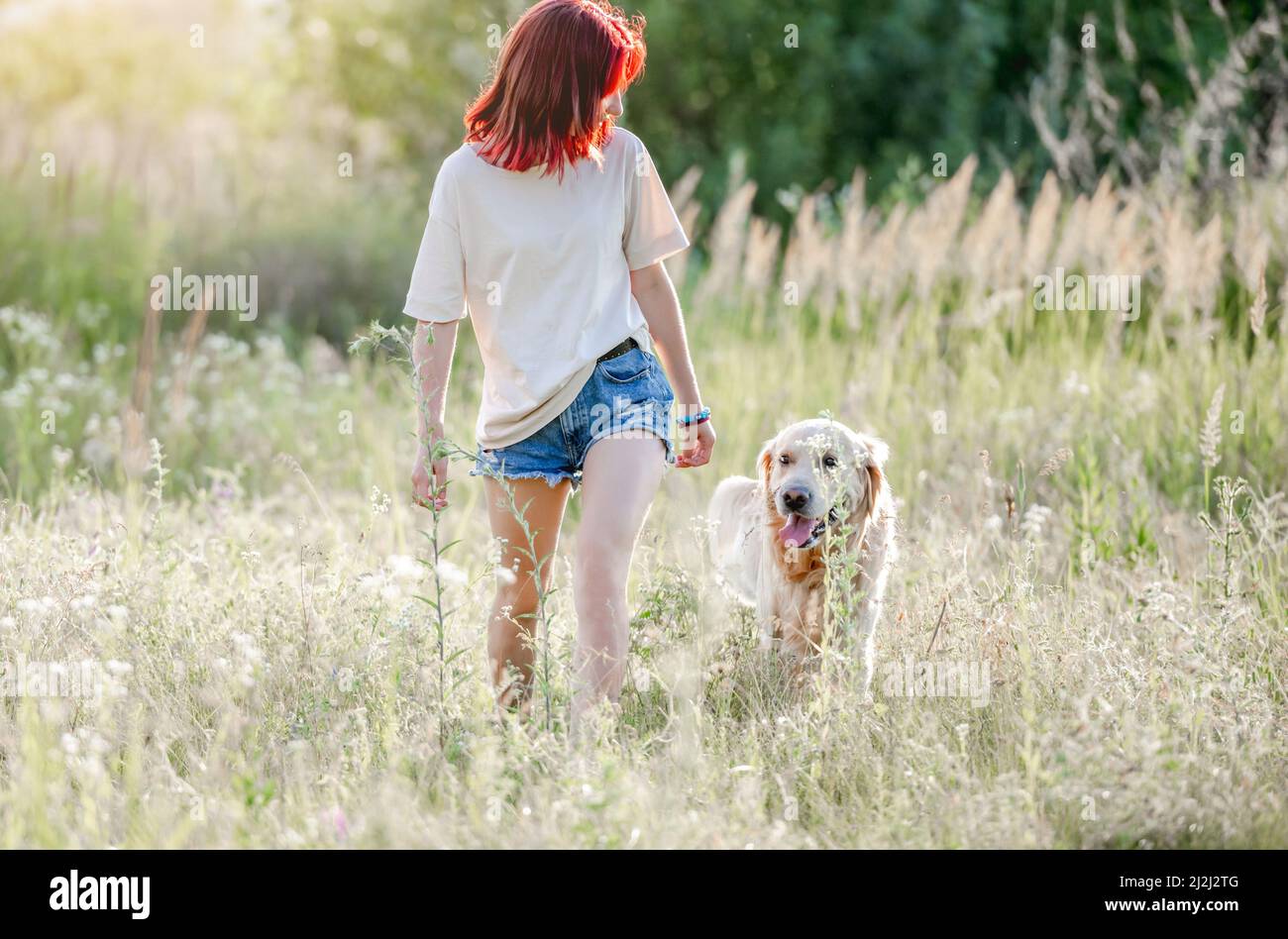 Teen girl with golden retriever dog Stock Photo - Alamy
