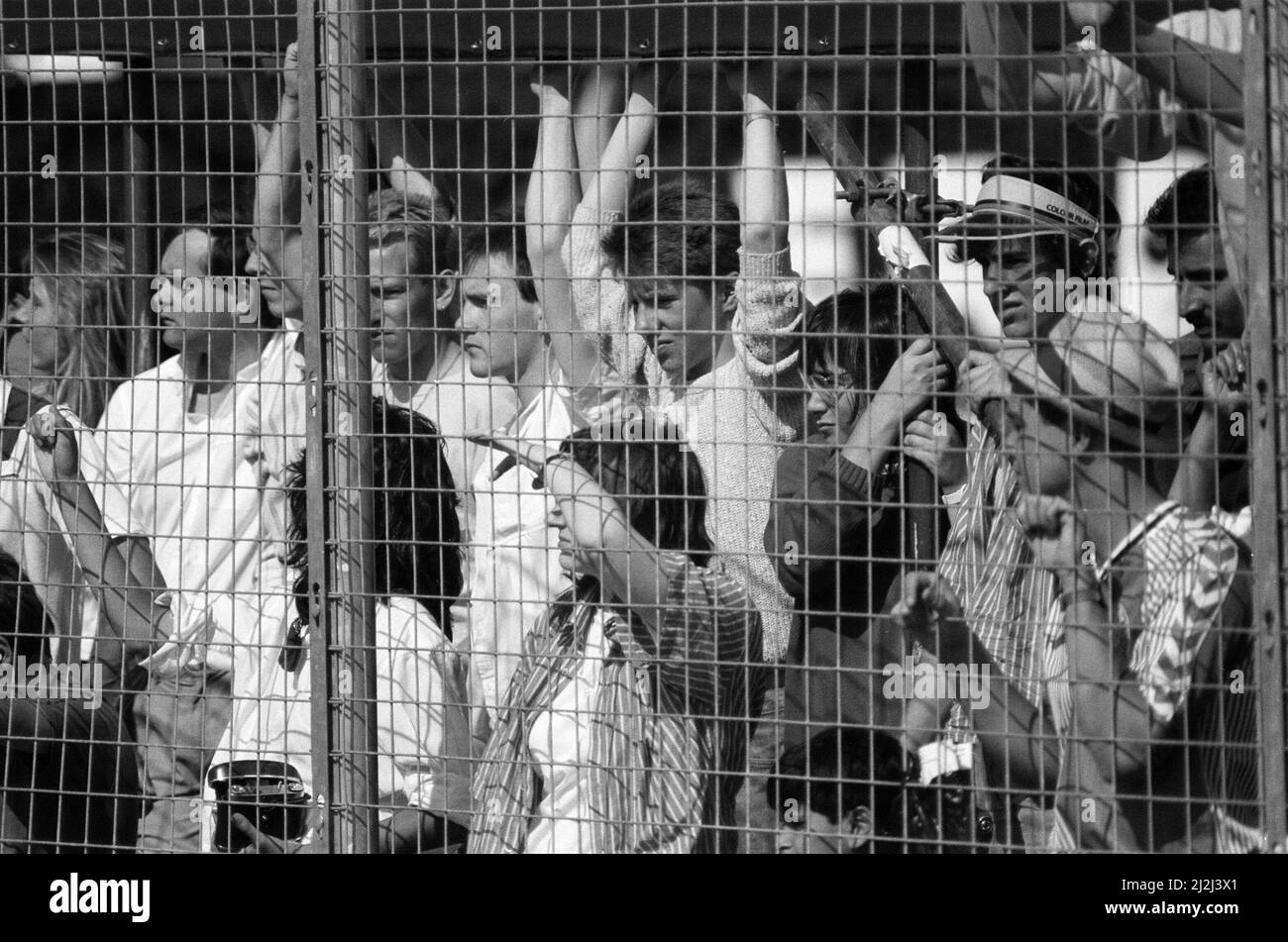 Halfords motorsport Black and White Stock