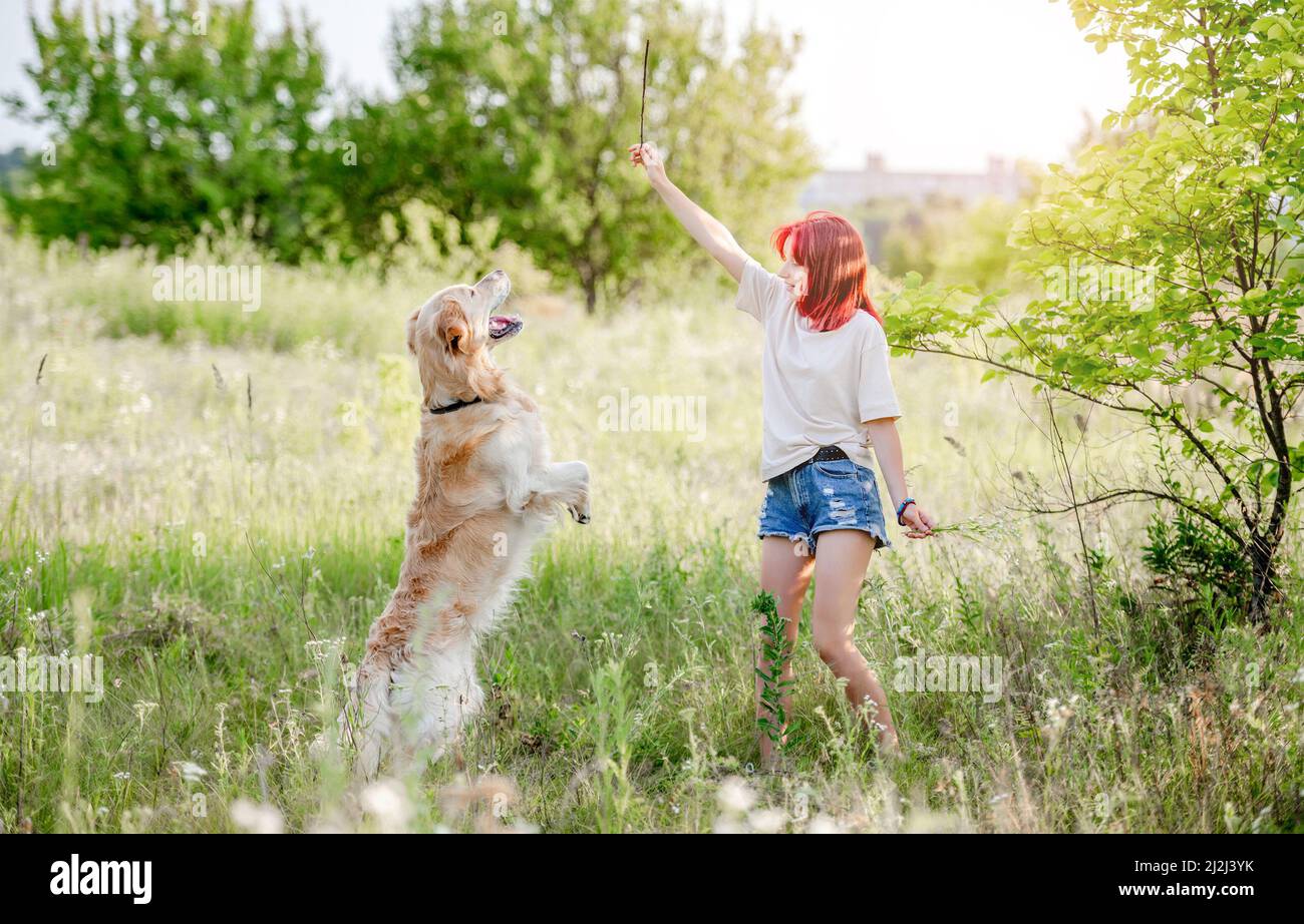 Teen girl with golden retriever dog Stock Photo - Alamy