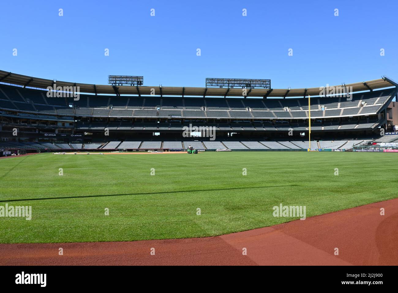 ANAHEIM, CALIFORNIA -10 MAR 2022: Groundskeeper rolling new sod at Angel Stadium in preparation for Opening Day and the 2022 season. Stock Photo
