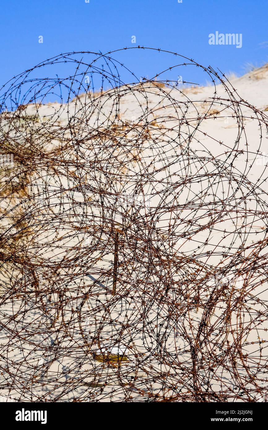 Rusted WWII barbed wire fence, Leffrinckoucke, Nord, HautsdeFrance
