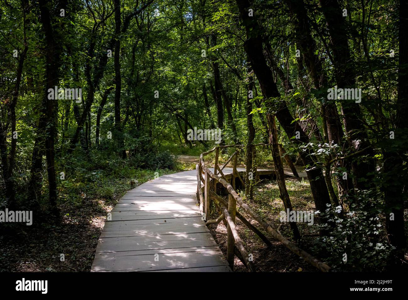 Summer photo of beautiful Ropotamo nature reserve in Bulgaria, Burgas province. Stock Photo