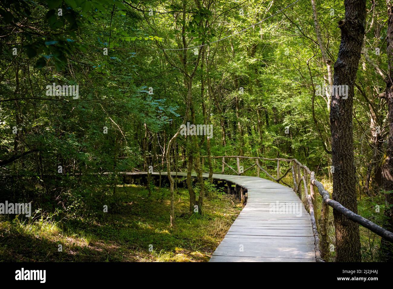 Summer photo of beautiful Ropotamo nature reserve in Bulgaria, Burgas province. Stock Photo