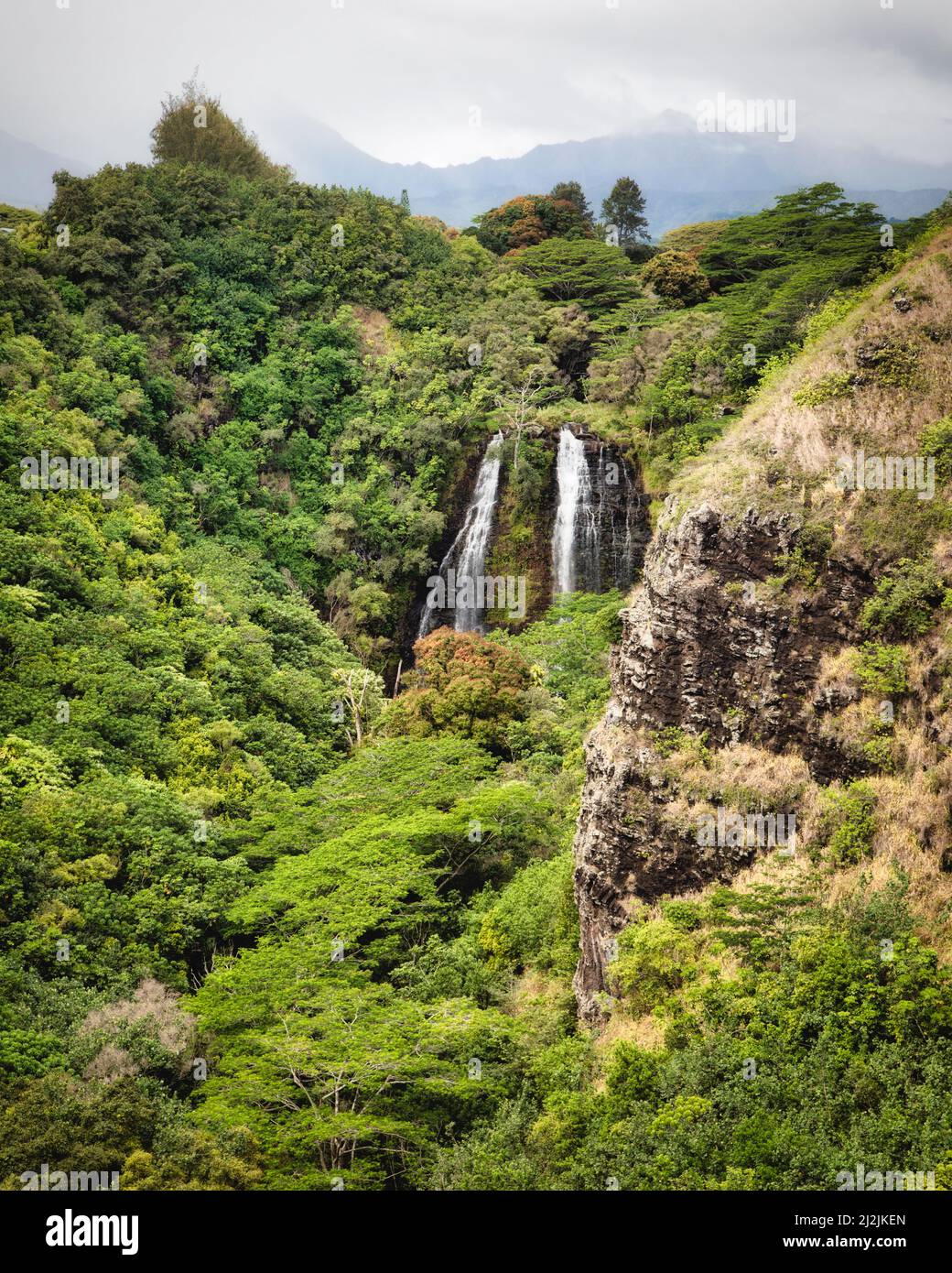 Opeaka’a Falls drops from the highlands leading toward the east coast of Kauai, Hawaii. Stock Photo