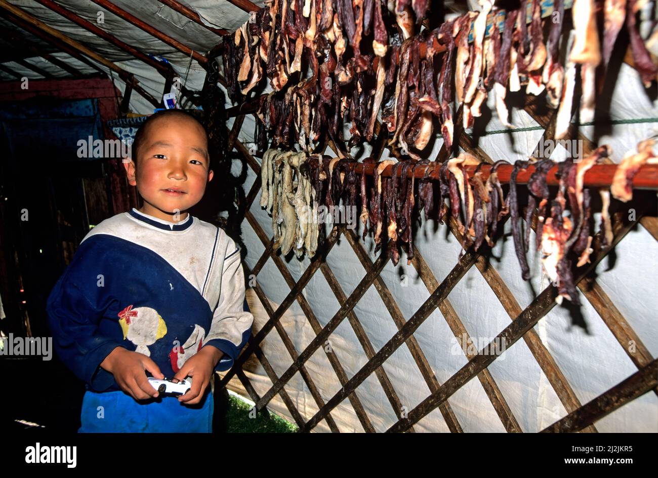 Mongolia. The interior of a ger (nomadic tent Stock Photo - Alamy
