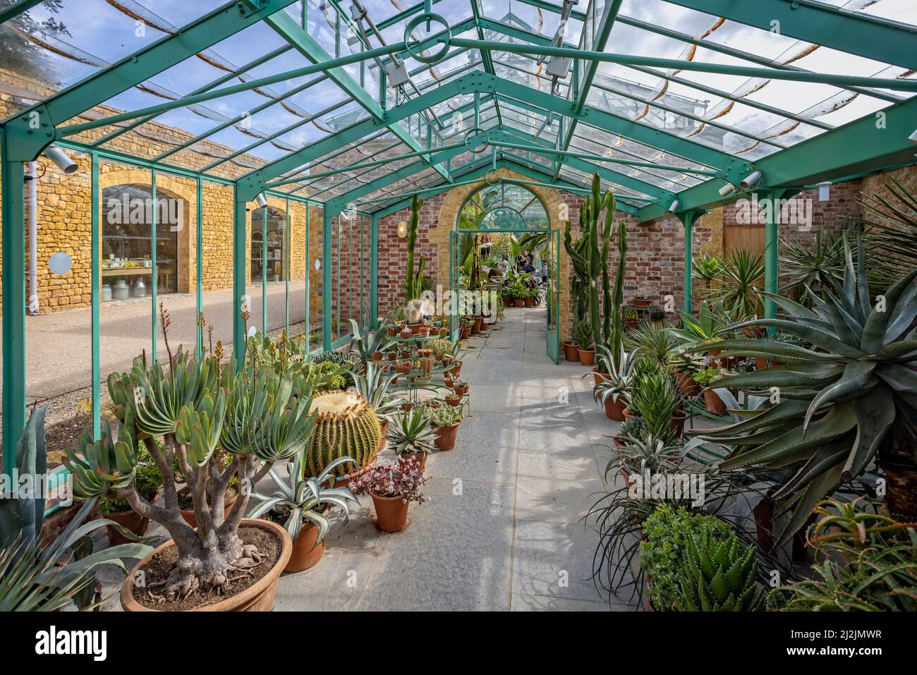 Cafe inside The Greenhouse with cacti and exotic plants at The Newt, Somerset, UK on 2 April 2022 Stock Photo